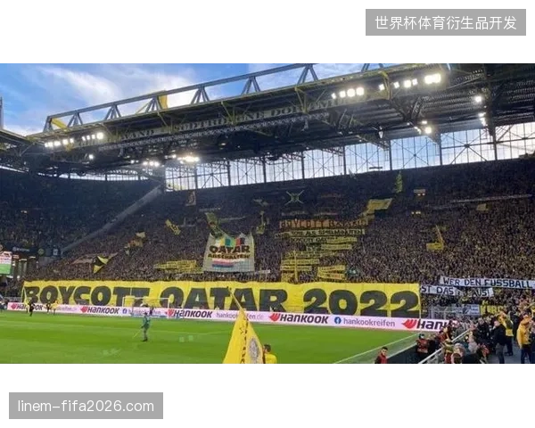 FIFA卡塔尔世界杯后场馆实时心电数据如何缓解现场医疗拥堵？
